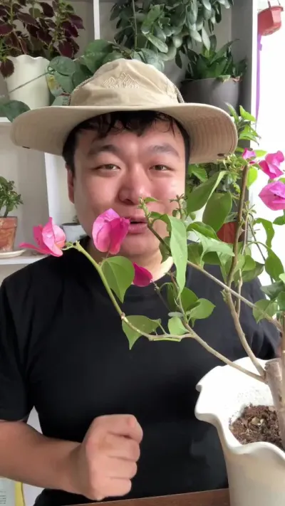 ��̨��������׳�������ɷ���ĺ����� #���� #����С֪ʶ #���� #������ֲ #����