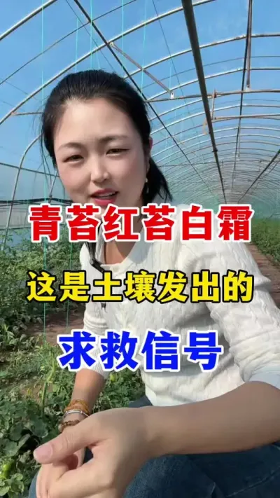 ��̦��̦��˪����ͻȻ����������ź� #������ݪֲ #ũҵݪֲ����