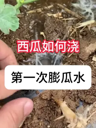 ϵһˮʲôʱ佽 ʩʼƻ# #ũҵ #ʵ #ʩ #ˮ