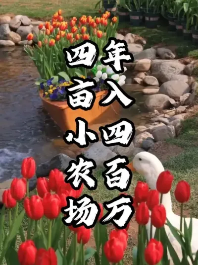 一家四亩小农场，是如何做到年入四百万的#游云文旅 #规划设计 #乡村振兴 #周二课堂