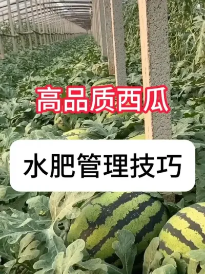 ݪֲĶ Ʒˮʹ# #ũ֧ũ # #ˮ #ʩ