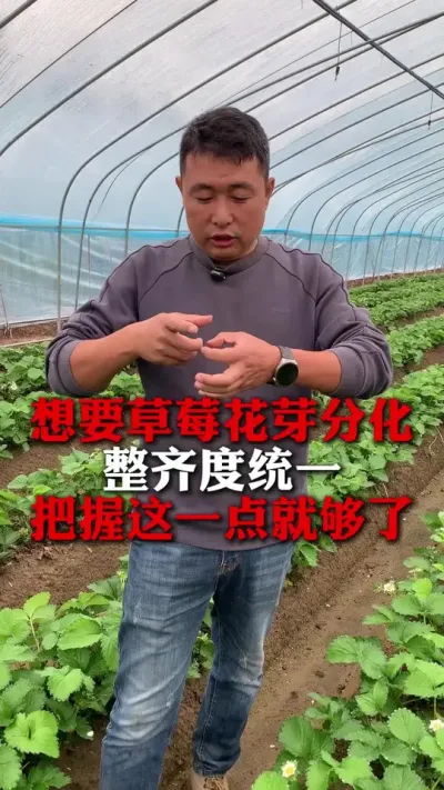 Ҫͬʱһ#ݮݪֲ #ݮݪֲ #ũҵ֪ʶũ #ũ #ݮ