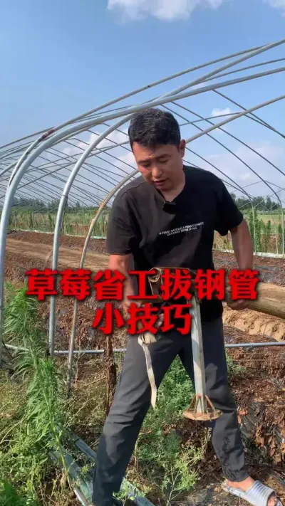 �θֹ�ʡ��С����#��ݮݪֲ #��ݮݪֲ���� #��ݮ���� #����ũҵ֪ʶ��ũ���������� #��ũ������