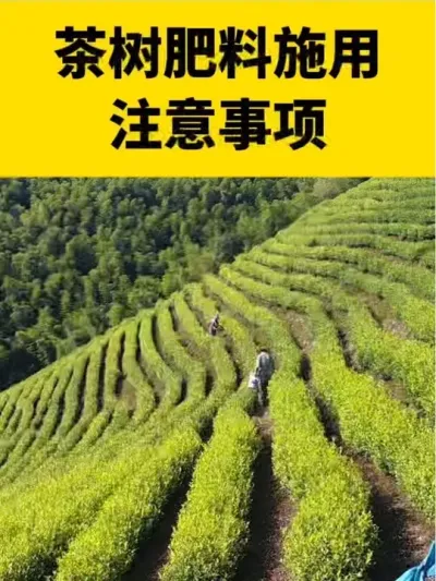 ��������ʩ��ע������#����