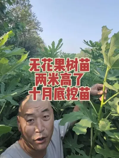 ��ô�������������϶�֪�����Ϲ��ҵ��޻�������ٷְٶ԰���û�м���#�����޻���ݪֲרҵ������