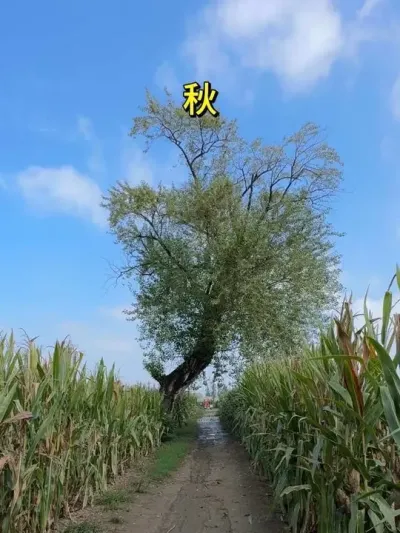 ��������������������Ī�����������������ﶬ������˭�˼���������׼�ڶ�������δʧԼ��#���Ӱ�� #ͯ���Ӱ�� #����Сʱ������� #�������� #���µ�С·