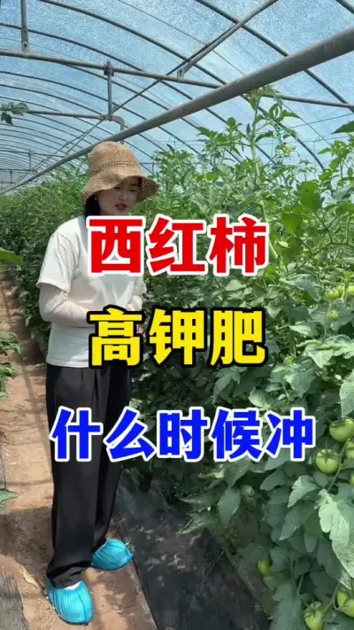 �������߼طʾ���ʲôʱ����� #������ݪֲ#������ݪֲ����