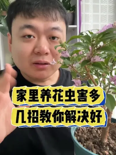 ���������溦�������н��������� #����С֪ʶ #���� #���� #������ֲ #����