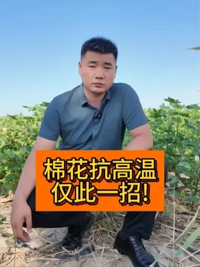 �޻�������  ����һ�� #��ũ������2025#ݪֲС���� #��ũݪֲ #������ũ֧����ũ #����