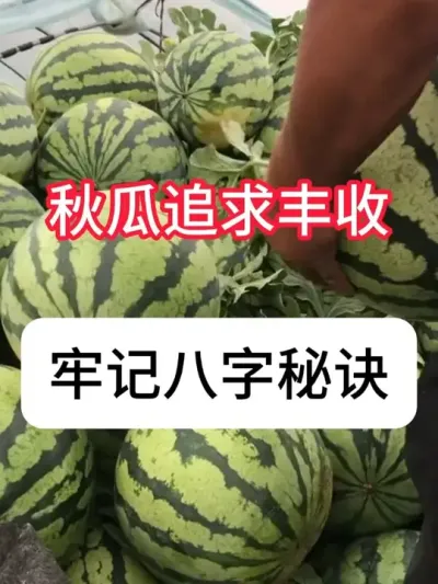 ���ݪֲ���������Ҫ�� #ũҵݪֲ #���� #�������� #��ũ #������ũ