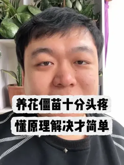 �����������ͷ������ʶԭ���Ż������ #���� #����С֪ʶ #���� #������ֲ #����