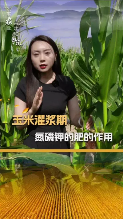 ���׹ཬ�ڵ��׼طʵ�����#��ũ #������ũ�� #����ݪֲ #����ݪֲ���� #��������