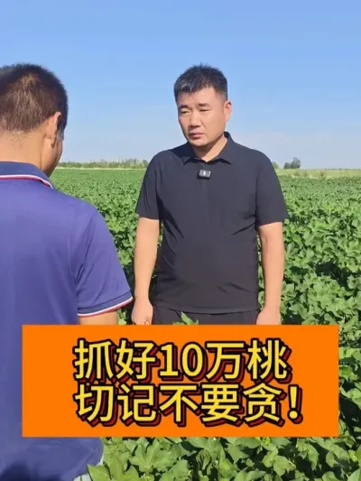 ץ��10����  �мǲ�Ҫ̰�� #��ũ������2025#ݪֲС���� #��ũݪֲ #�½��޻� #������ũ֧����ũ