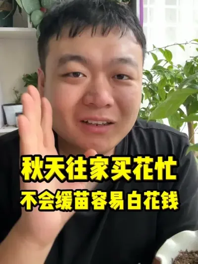 ������������æ��ѧ�Ỻ���������ֹ��ԩ��Ǯ�� #���� #����С֪ʶ #���� #������ֲ #����