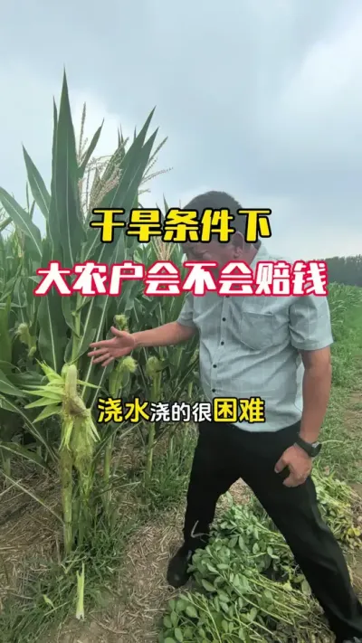 ����ɺ�����������ũ���᲻����Ǯ#�߲����� #����ݪֲ #���׸߲�ݪֲ���� #���׹��� #ë��������߲�����