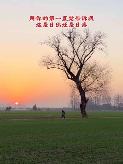 �������е�ͷ�������ּ���һյ����Ը���Ƕ����ճ���������������������������æ����ã�������а��������й�����֮������������ӣ�#���Ӱ�� #�ҵ��������� #�����ԭ���� #����Ұ��