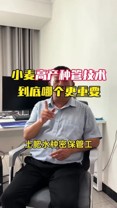 С��߲������������ĸ�����Ҫ#С��ݪֲ #С��ݪֲ�������� #С��߲����� #С����� #ë��������߲�����