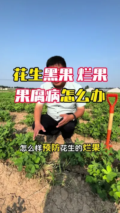 �������ڵĺڹ��ù������������������վ�ʲôԵ��ԭ�����ָ���ô��#����ݪֲ #��ˮ������ #�������� #�����߲� #ë��������߲�����