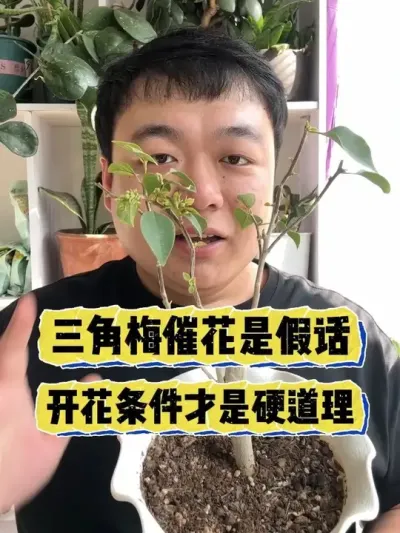 �̸��˸�����÷�߻��Ķ��Ǻ�����ѧ���Ż���������Ҫ���� #���� #����С֪ʶ #������ֲ #������ֲ #����