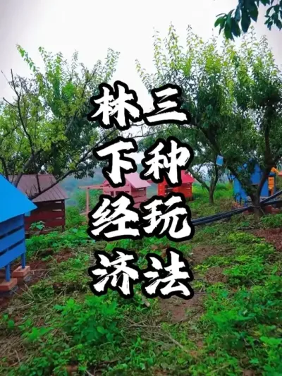 ���¾���#�������� #������� #�ܶ����� #СԺ����