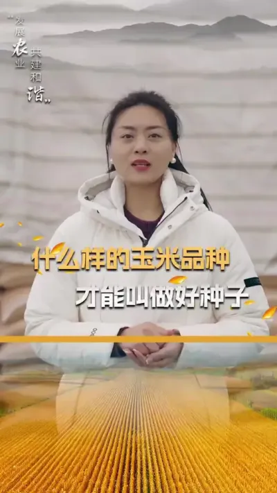 ʲô��������Ʒ�ֲŽк�������#��ũ #����ݪֲ #����ݪֲ���� #�������� #������ũ��