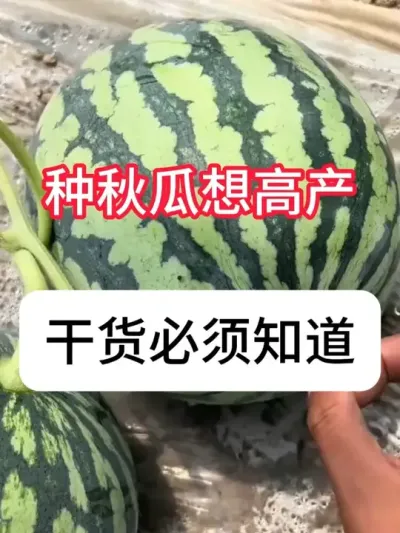 �������ô��߲�������ϸ߲�����Ҫ�� #����ݪֲ #�������� #��ũ #ũ���ƹ�