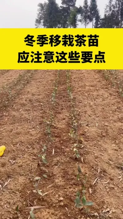 �������Բ���Ӧע����ЩҪ��#����