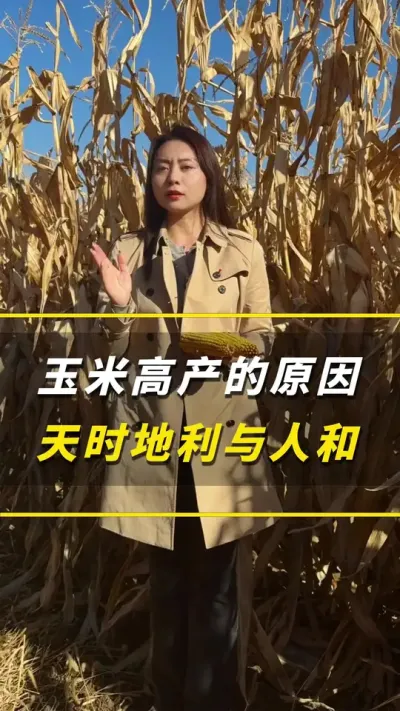 ���׸߲���Ե��ԭ������ʱ�������˺�#��ũ #����ݪֲ #����ݪֲ���� #�������� #������ũ��