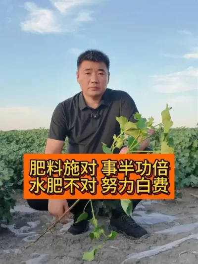 ���ˮ��ʩ������? #��ũ������2025#ݪֲС���� #��ũ�� #������ũ֧����ũ #��ũݪֲ