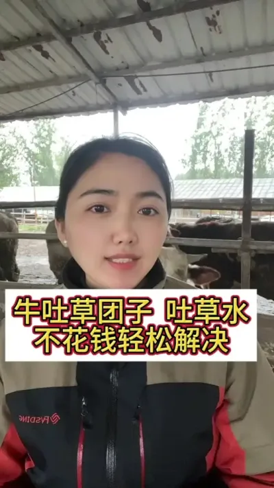 ţ�²������²�ˮ������ˮ������Ǯ���ɽ��#��ţ�� #��ţ #��ţ���� #��ֳ֪ʶ