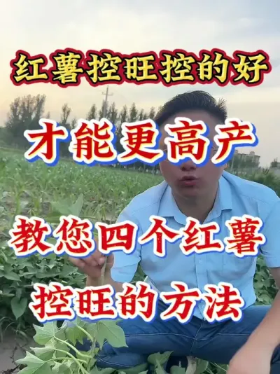 ���������صĺ�����������һ����#����ݪֲ  #�����߲�ݪֲ  #�����߲�  #����ݪֲ֪ʶ