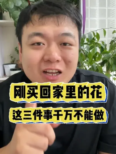 ��������Ļ��������������򲻿����� #���� #����С֪ʶ #���� #������ֲ #����