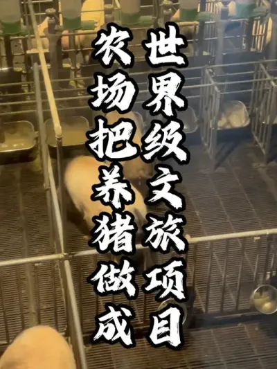 ����#��������  #�������  #�ܶ�����  #ũ������