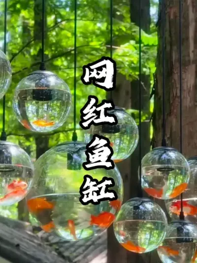 �������#��������  #�������  #�ܶ����� #�����