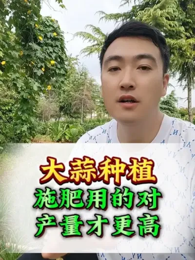 ��������ǰ����������Ϯ���ص�Ҫ�����ѹ� ��� #����ݪֲ #����ݪֲ����  #����߲� #����߲�ݪֲ #ũҵݪֲ