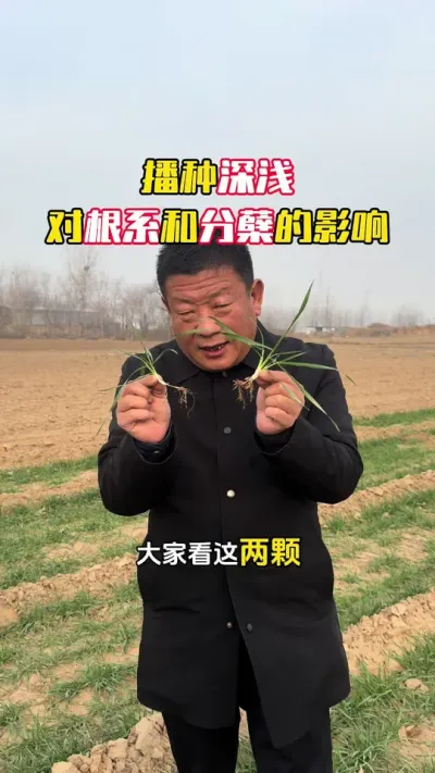 ������ǳ�Է�����Ӱ��#С��#С��ݪֲ#ݪֲ�� #С��߲�#ë��������߲�����