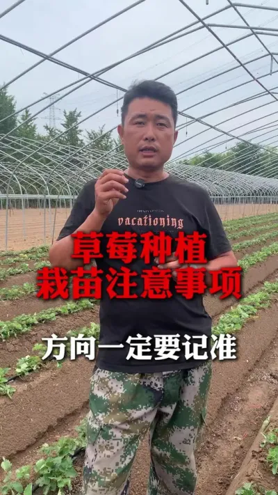 ݮע#ݮݪֲ #ݮ #ݮݪֲ #ũҵ֪ʶũ #ũ