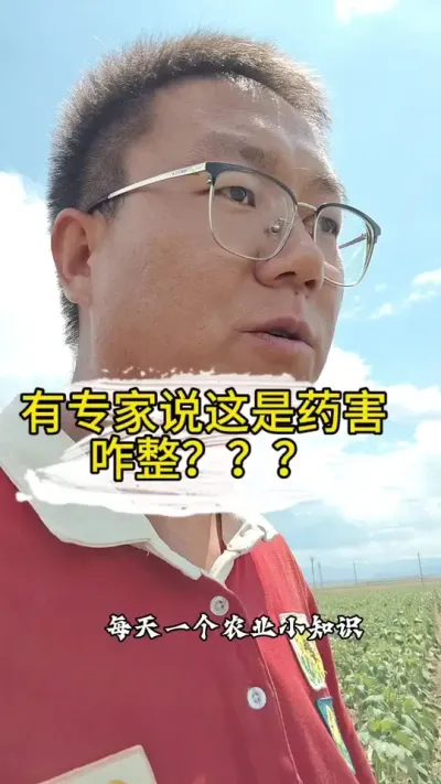 ũҵݪֲ����һ���ջ����۵����̣�����#�����