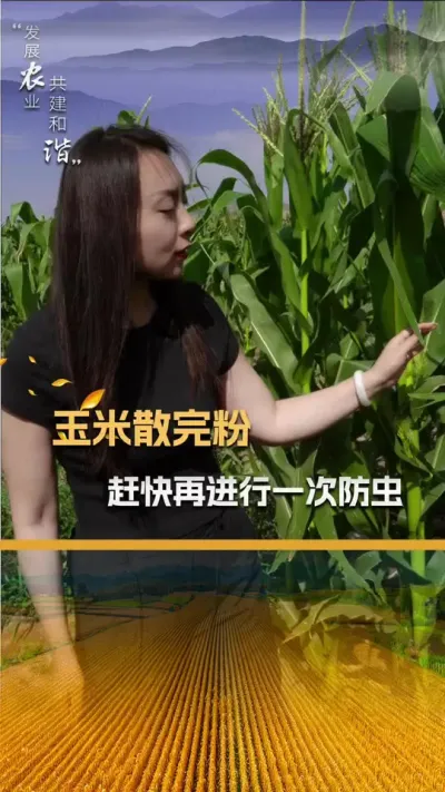 ����ɢ�������æ�پ���һ�η���#��ũ #������ũ�� #����ݪֲ #����ݪֲ���� #��������