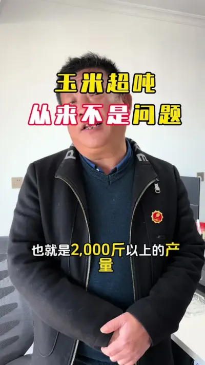 ���׳��ֲ�������#�� #�󶹸߲� #�󶹸߲����� #��ݪֲ���� #ë��������߲�����