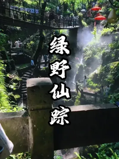 杭州这家场地通过打造绿野仙踪场景，迅速爆火全网，吸引众多游客打卡#游云文旅 #规划设计 #乡村振兴 #周二课堂