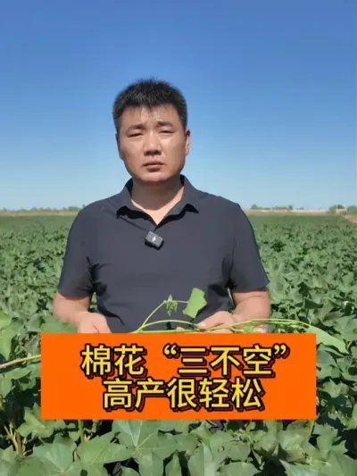 �޻�������  �߲������� #��ũ������2025#ݪֲС���� #��ũ�� #������ũ֧����ũ #��ũݪֲ