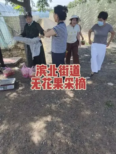 ��������Ʒ�����������Ŀڸ����ۼ��޻���ʼ���Ǳ��ݵı�ˣ������ˬ����ժ����ʱ#�����޻���ݪֲרҵ������ #�޻�������