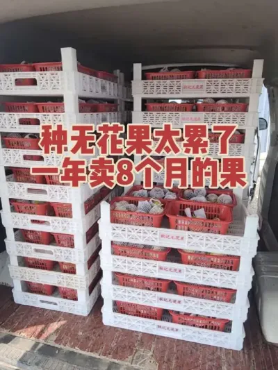 ��������˵�ҷ��������������������Ϣһ��ʱ����ȥ׷���ǳ�����ȥ���������˿?Ҫ��Ȼ����ܿ��������?#�����޻���ݪֲרҵ������ #�������﹢�и��óԵ��޻�����ժ԰