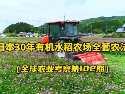 �ձ�30���л�ũ����ȫ���л�ũ���� �������������ոѻ���̷����ء�׳����������ˮ�زݵȽǶ�������������������ȫ���л�ũ��������������ͬʱ�������ձ�200����л�ũ��������ָ��������������ֵ���ղ�ѧϰ...#�л�ˮ�� #��̬ũҵ 