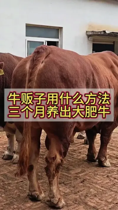 ţоʲôҪţ#ţ #ţ #ţ #ũţ