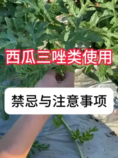 ���ϲ�������Щɱ������ #����ݪֲ #���溦���� #ɱ���� #��ũ #������ũ