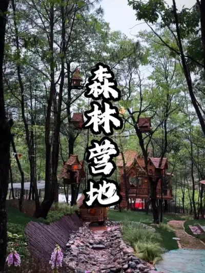 ɭ��Ӫ��#��������  #�滮���  #�ܶ����� #Ӫ�ع滮