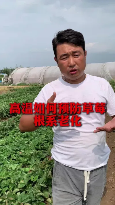 ����Ԥ����ݮ��ϵ�ϻ�#��ݮݪֲ #��ݮ���� #��ݮݪֲ���� #��ũ������ #����ũҵ֪ʶ��ũ����������