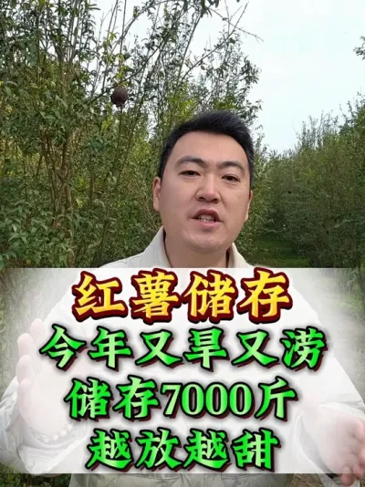 ��������С���� #�������� #����ݪֲ #��������Ҫ�� #������������ #��������